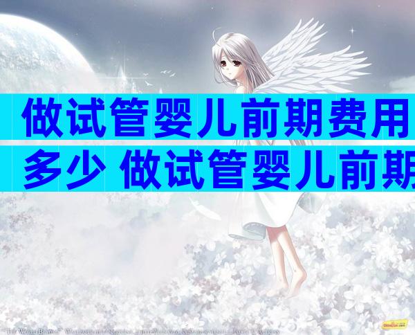 做试管婴儿前期费用多少 做试管婴儿前期需要多少钱